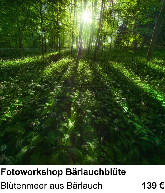 Ruhiger Fotokurs zu Fotoworkshop Bärlauchblüte: Blütenmeer aus Bärlauch
