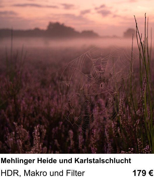 Ruhiger Fotokurs zu Mehlinger Heide und Karlstalschlucht: HDR, Makro und Filter