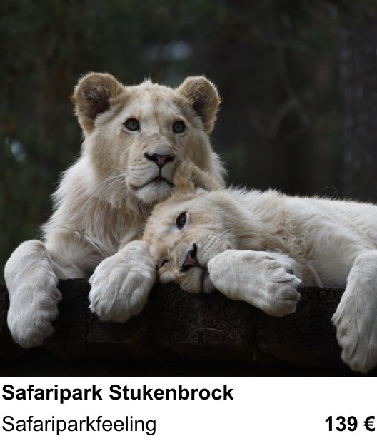 Ruhiger Fotokurs zu Safaripark Stukenbrock: Safariparkfeeling