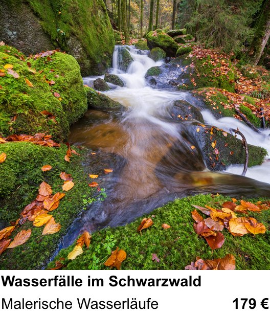 Ruhiger Fotokurs zu Wasserfälle im Schwarzwald: Malerische Wasserläufe