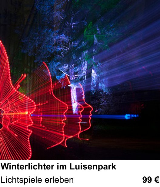 Ruhiger Fotokurs zu Winterlichter im Luisenpark: Lichtspiele erleben